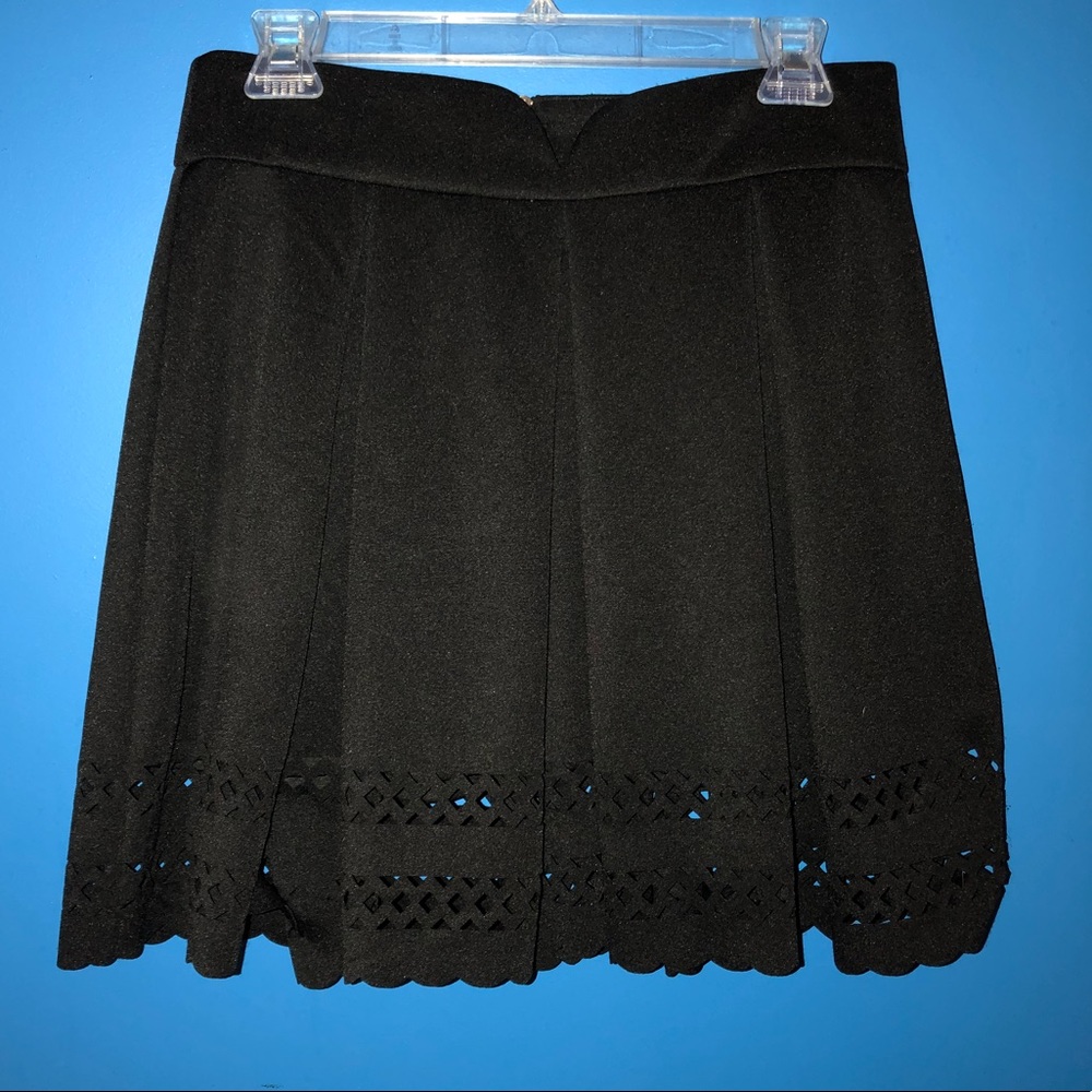 NWOT Pleated A-Line Skirt